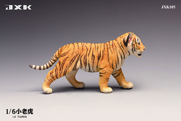Tiger Kin 1/6