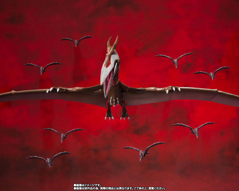 SHMonsterArts Rodan [2021] - The Second Form -