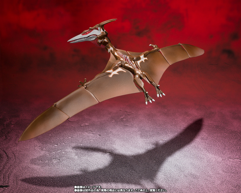 SHMonsterArts Rodan [2021] - The Second Form -