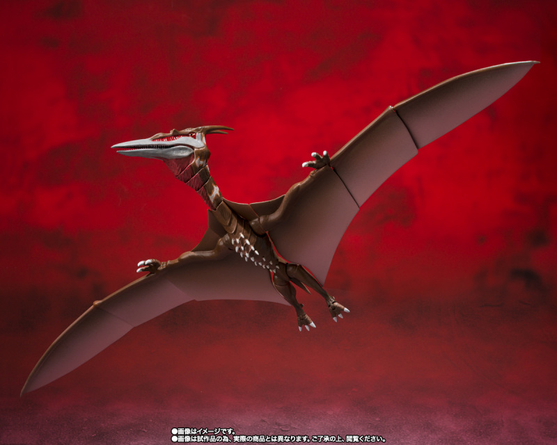 SHMonsterArts Rodan [2021] - The Second Form -