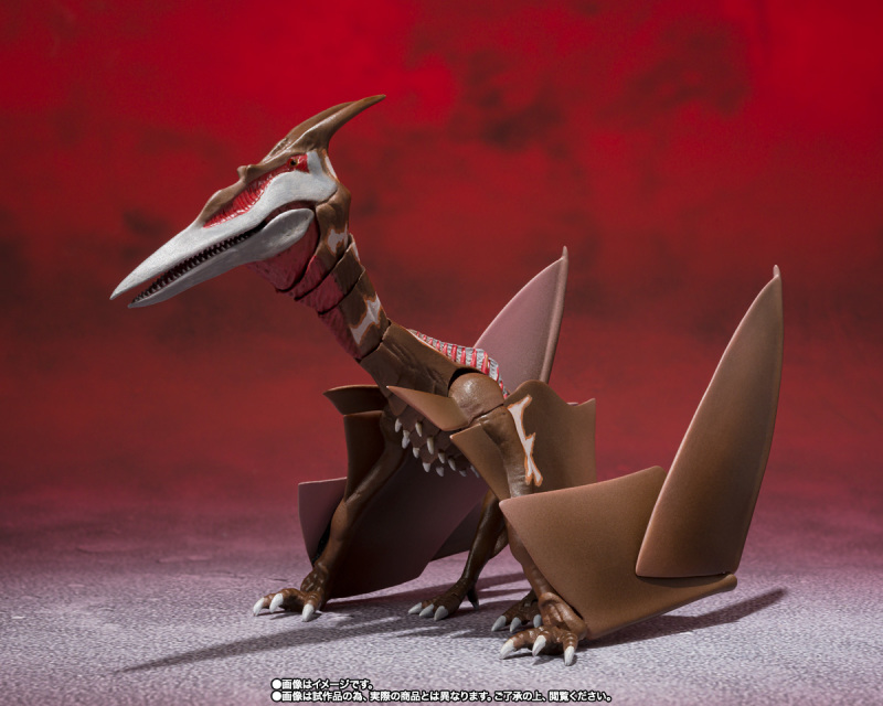 SHMonsterArts Rodan [2021] - The Second Form -