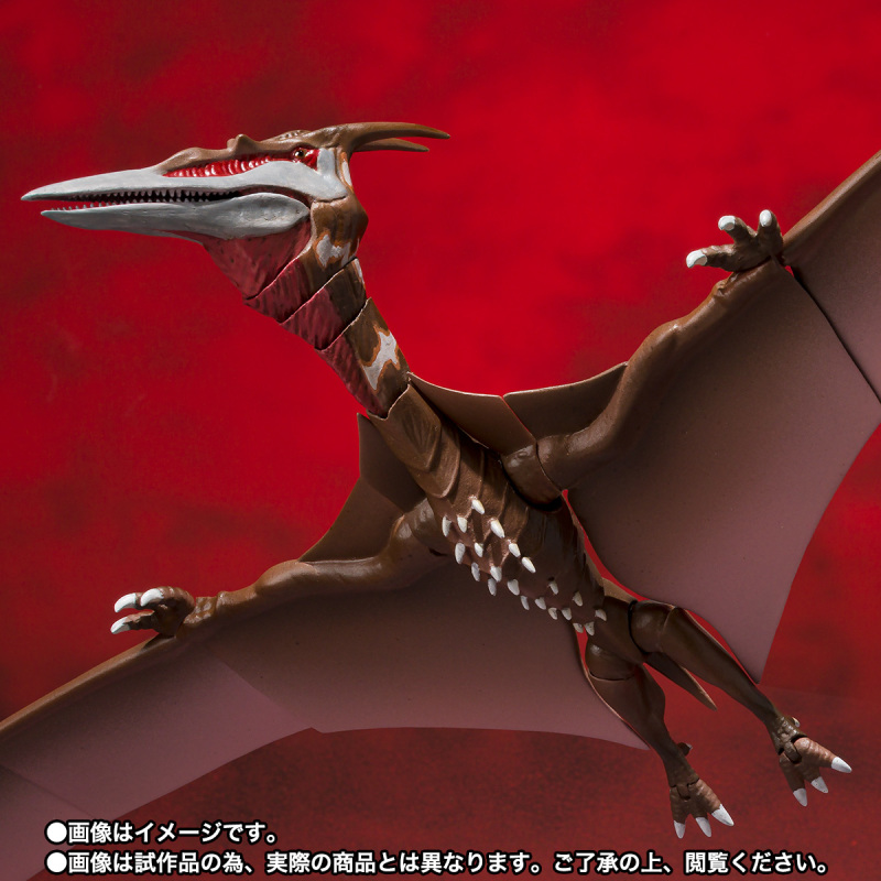 SHMonsterArts Rodan [2021] - The Second Form -