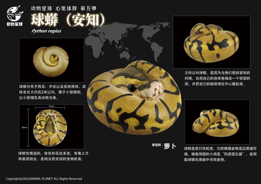 Snake