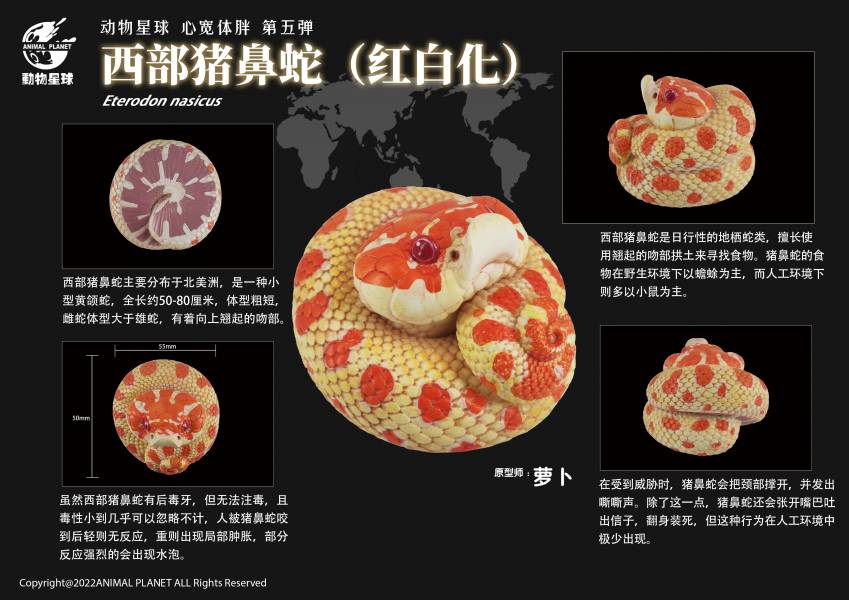 Snake