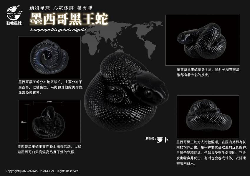 Snake