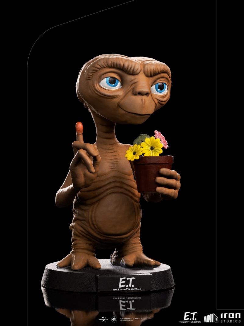ET - MiniCo