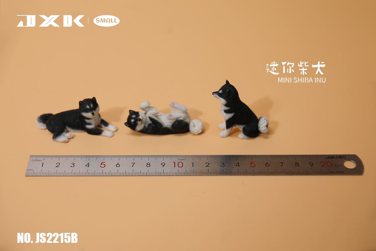Mini Shiba Inu / Labrador