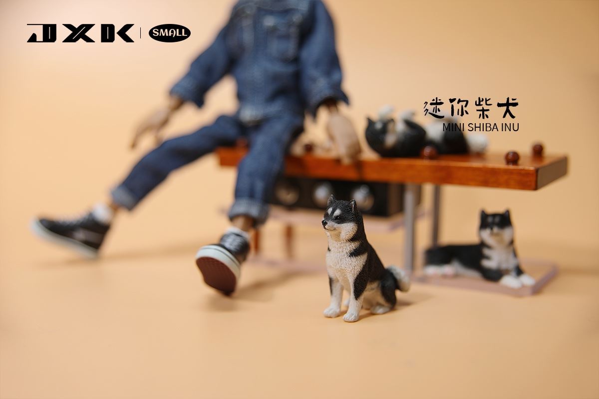 Mini Shiba Inu / Labrador