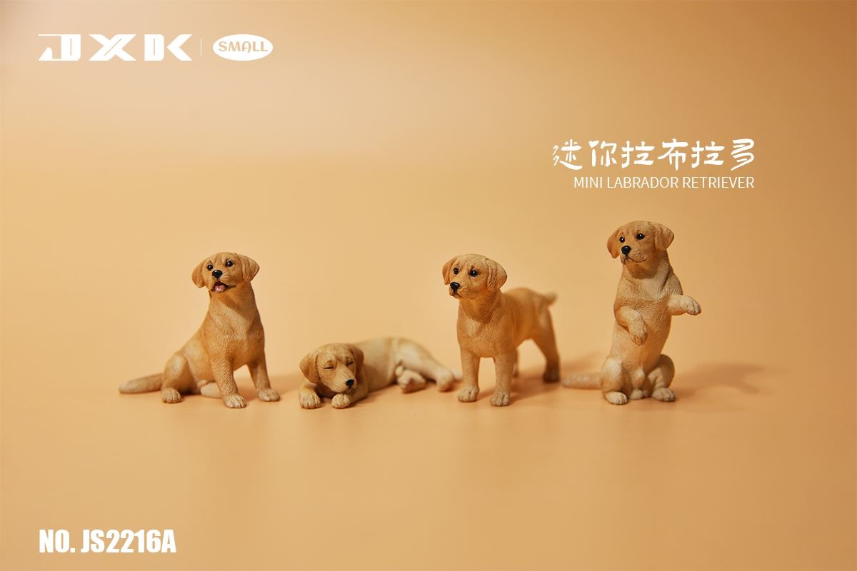 Mini Shiba Inu / Labrador