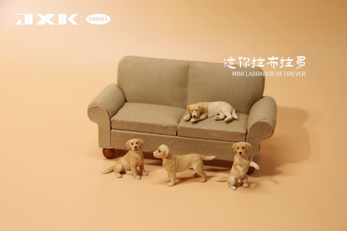 Mini Shiba Inu / Labrador