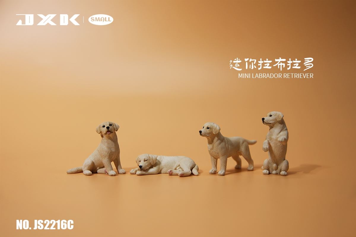 Mini Shiba Inu / Labrador