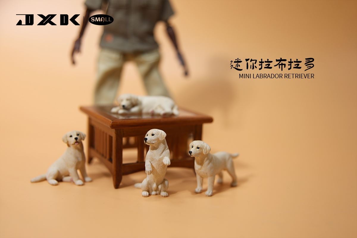 Mini Shiba Inu / Labrador