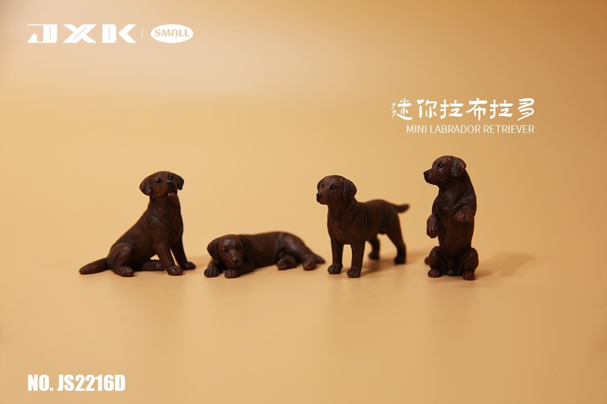 Mini Shiba Inu / Labrador