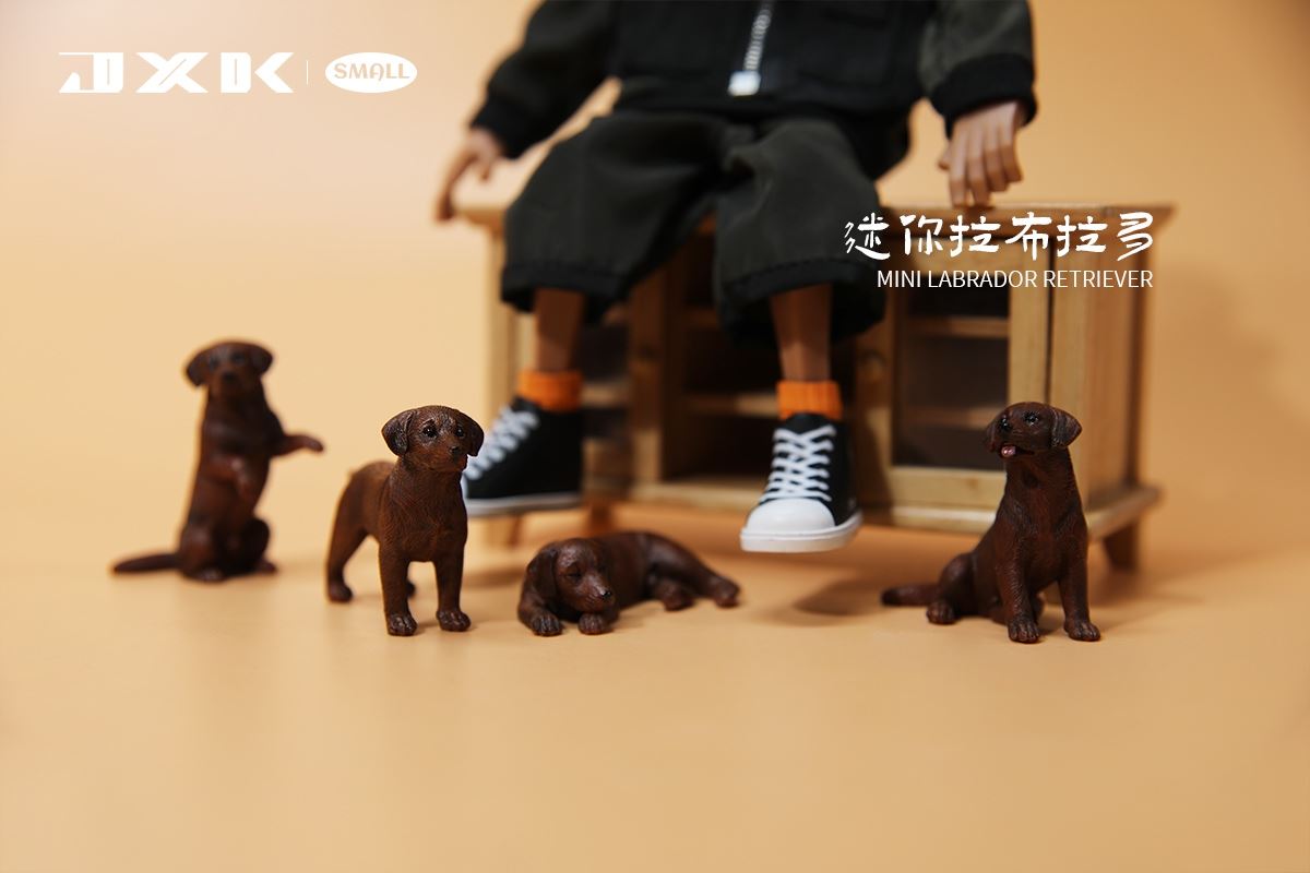 Mini Shiba Inu / Labrador