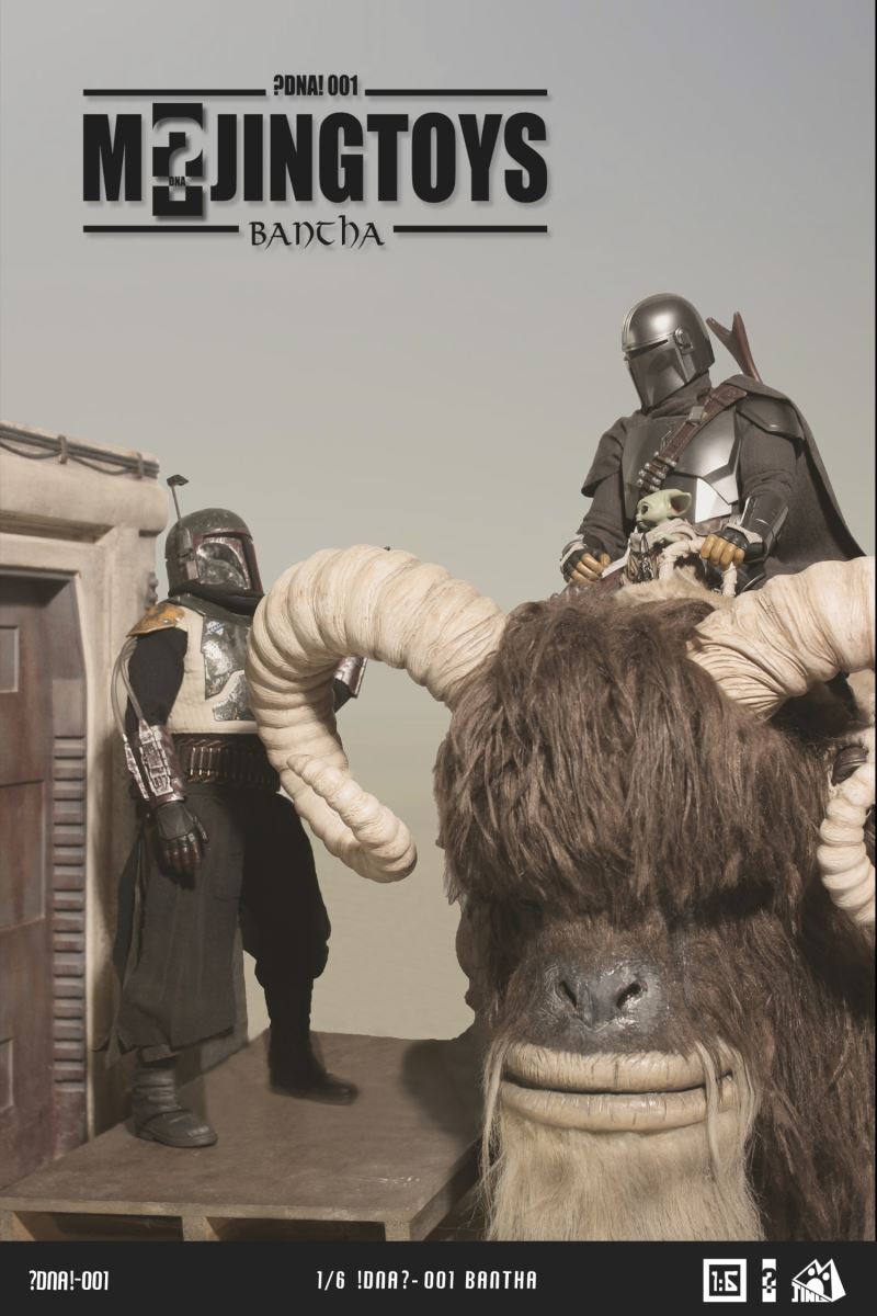 Bancha 1/6