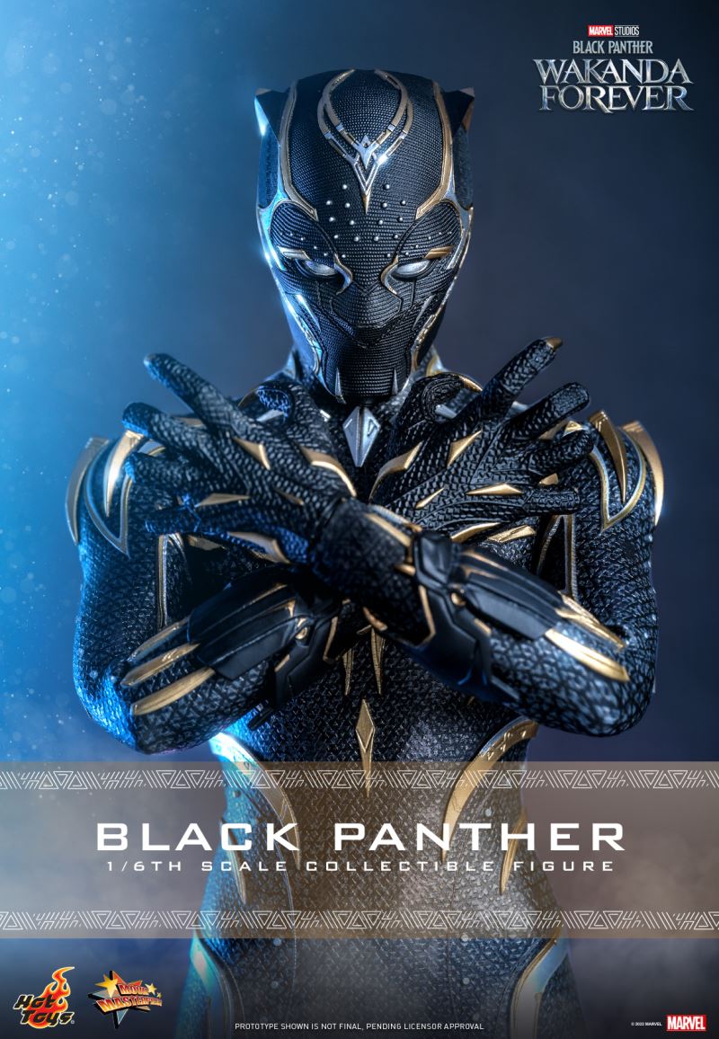 Black Panther - Black Panther 2: Long Live Wakanda 1/6