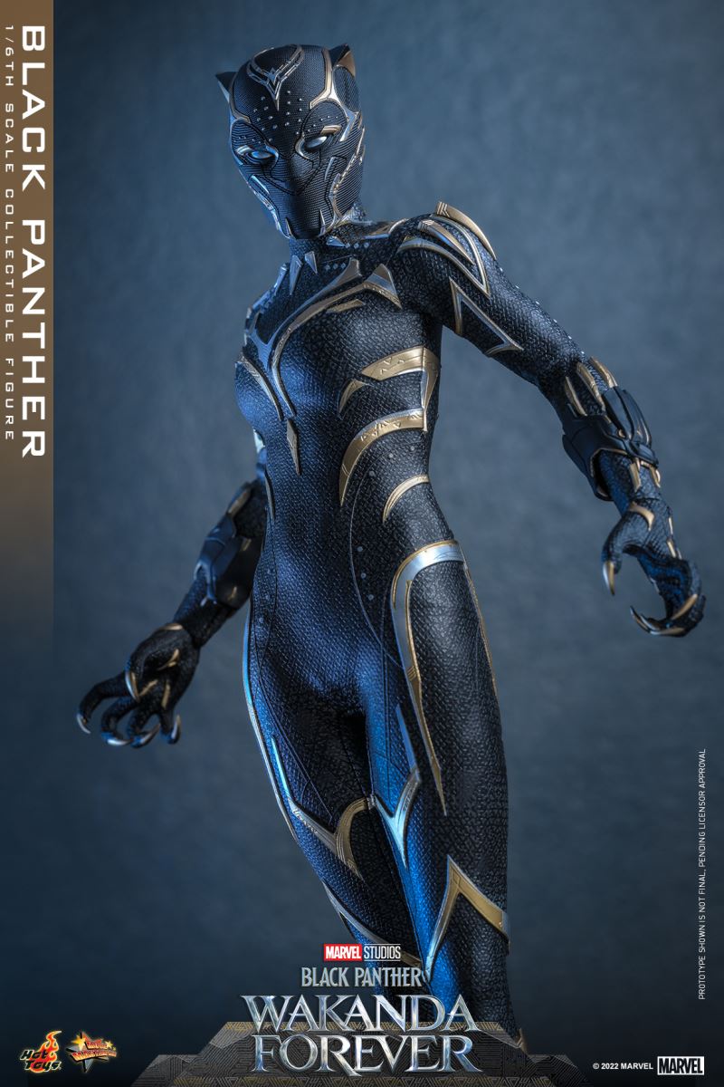 Black Panther - Black Panther 2: Long Live Wakanda 1/6