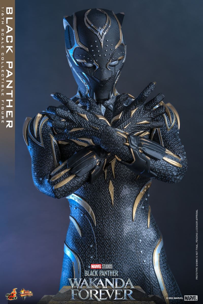 Black Panther - Black Panther 2: Long Live Wakanda 1/6