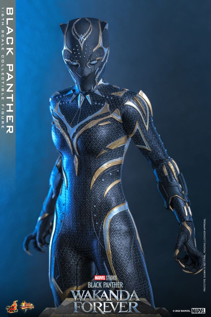 Black Panther - Black Panther 2: Long Live Wakanda 1/6