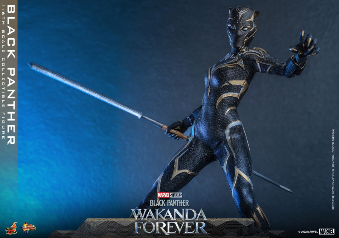 Black Panther - Black Panther 2: Long Live Wakanda 1/6