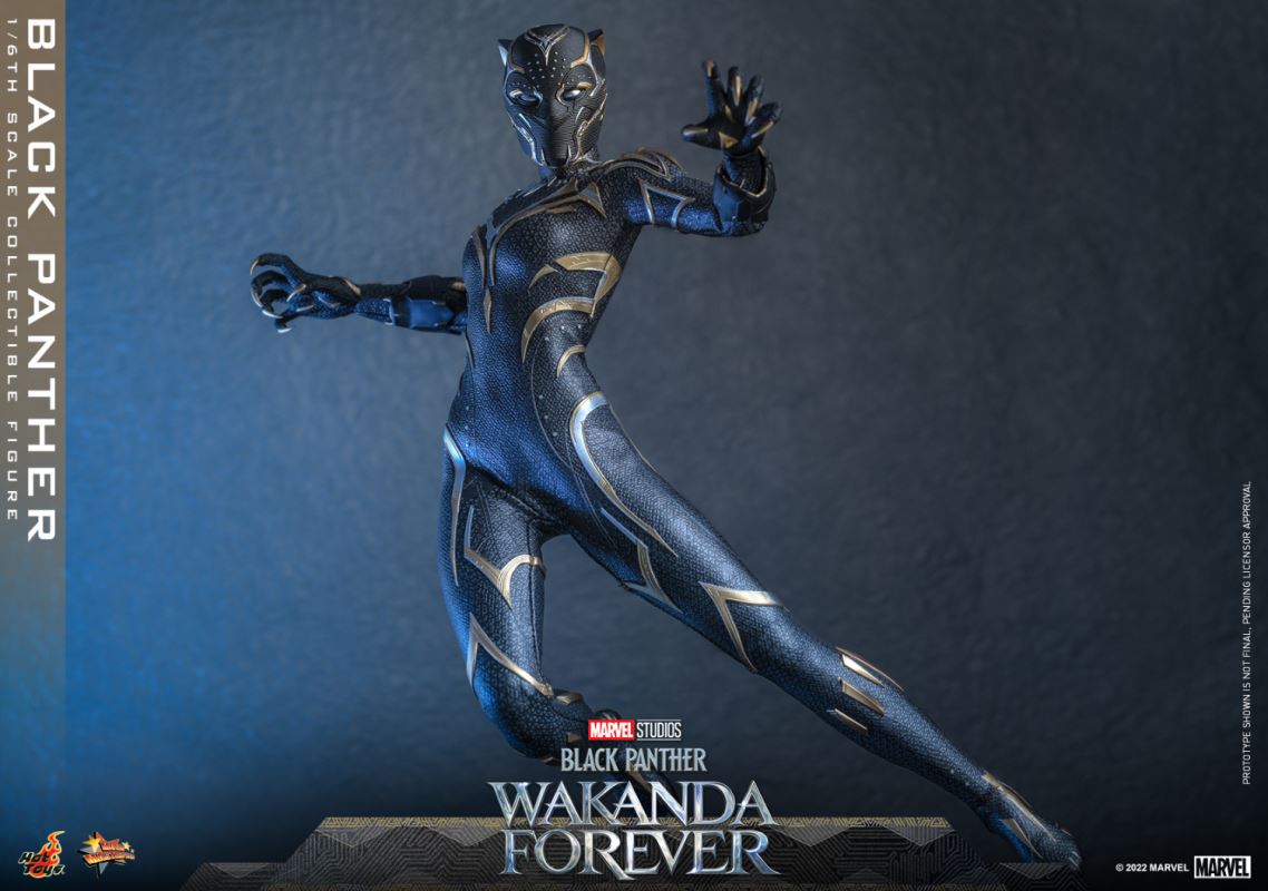 Black Panther - Black Panther 2: Long Live Wakanda 1/6
