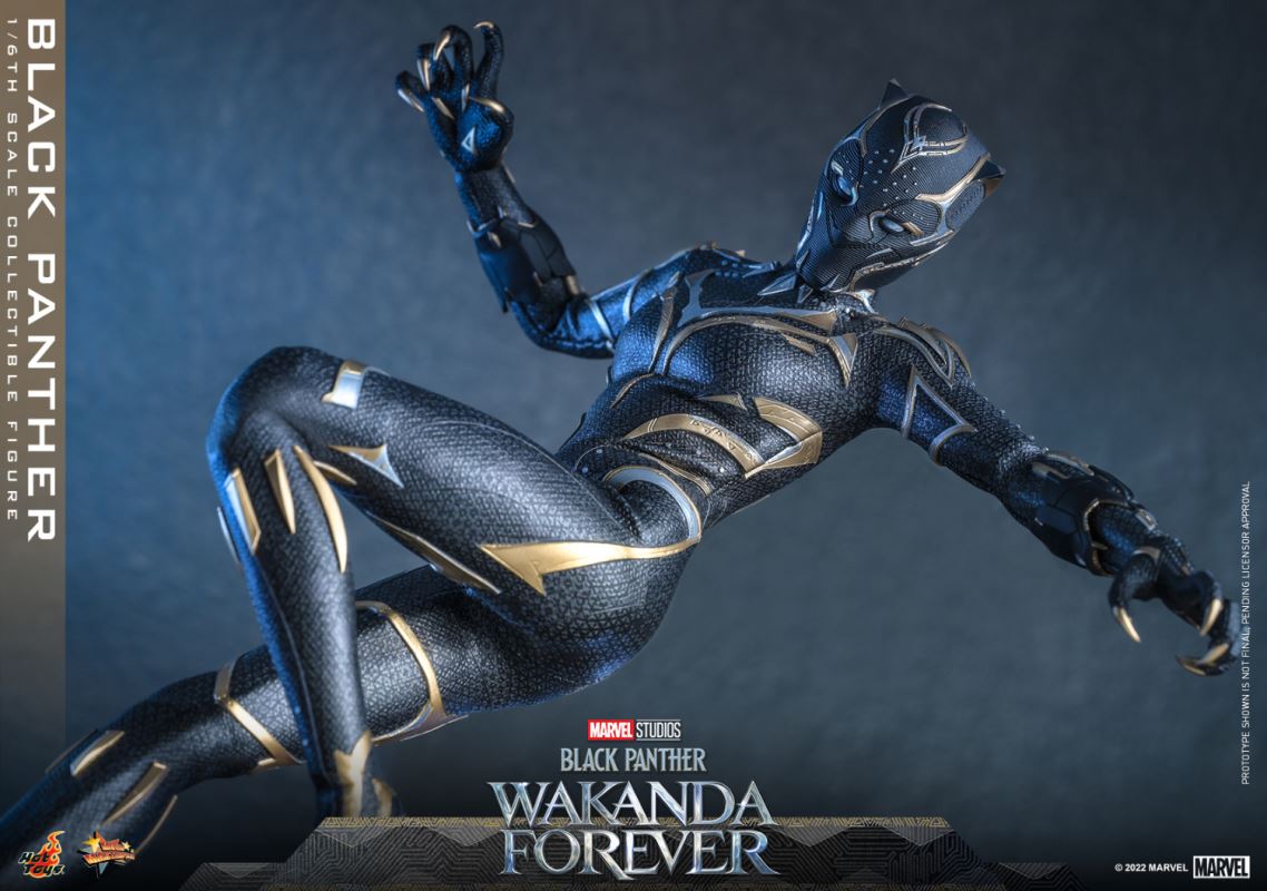 Black Panther - Black Panther 2: Long Live Wakanda 1/6