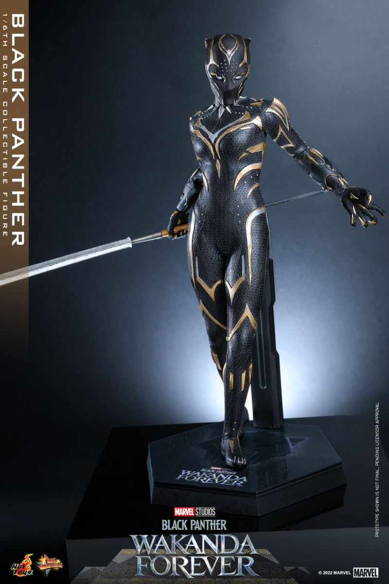 Black Panther - Black Panther 2: Long Live Wakanda 1/6