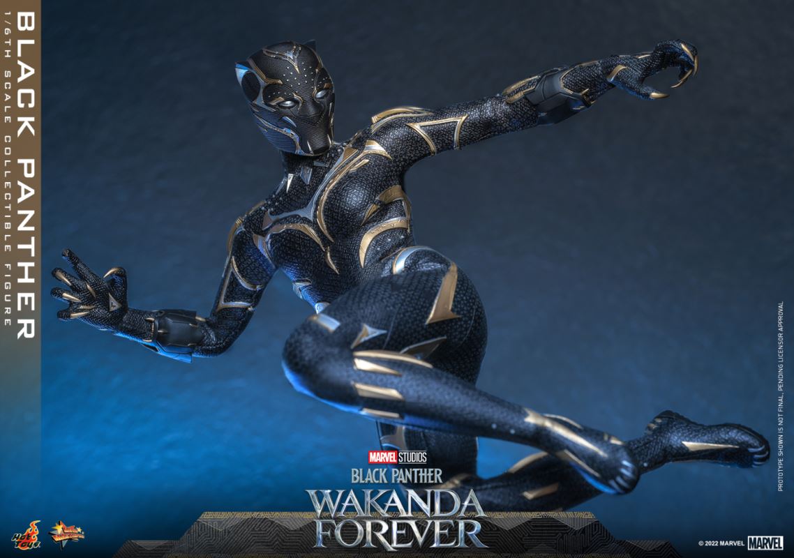 Black Panther - Black Panther 2: Long Live Wakanda 1/6