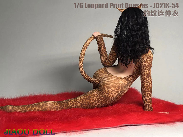 Leopard 1/6
