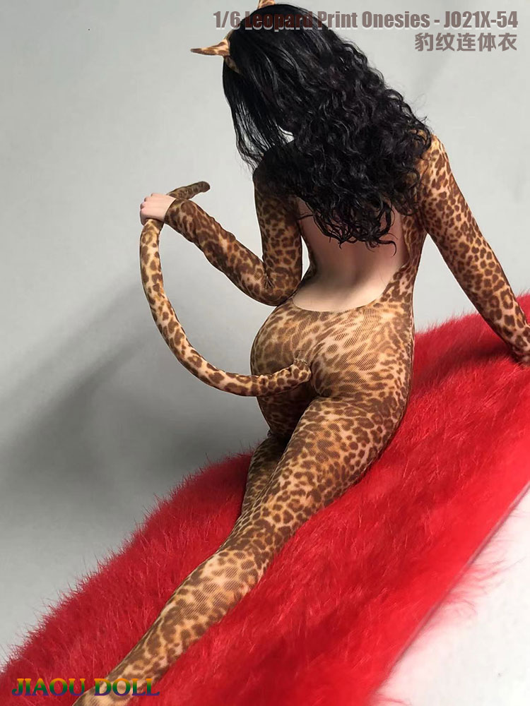 Leopard 1/6