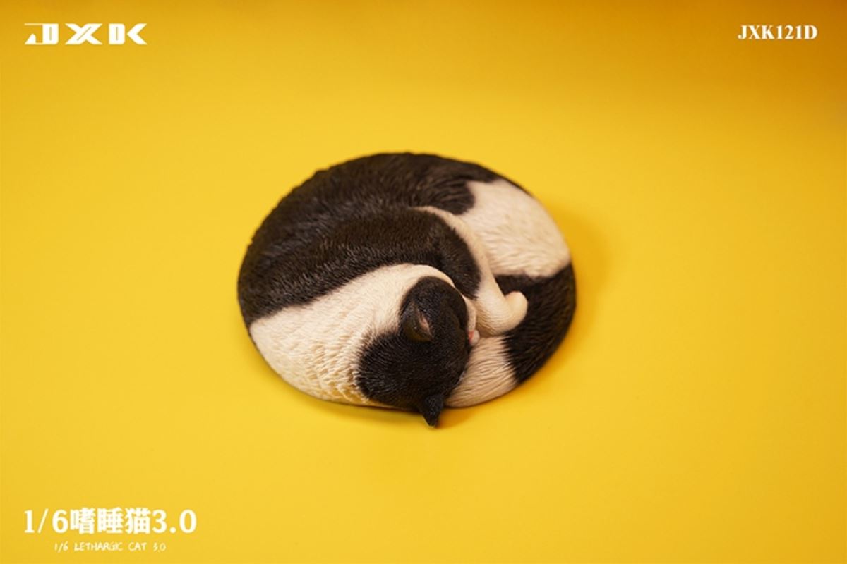 Sleepy Cat 3.0 1/6