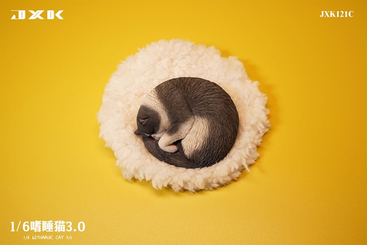 Sleepy Cat 3.0 1/6