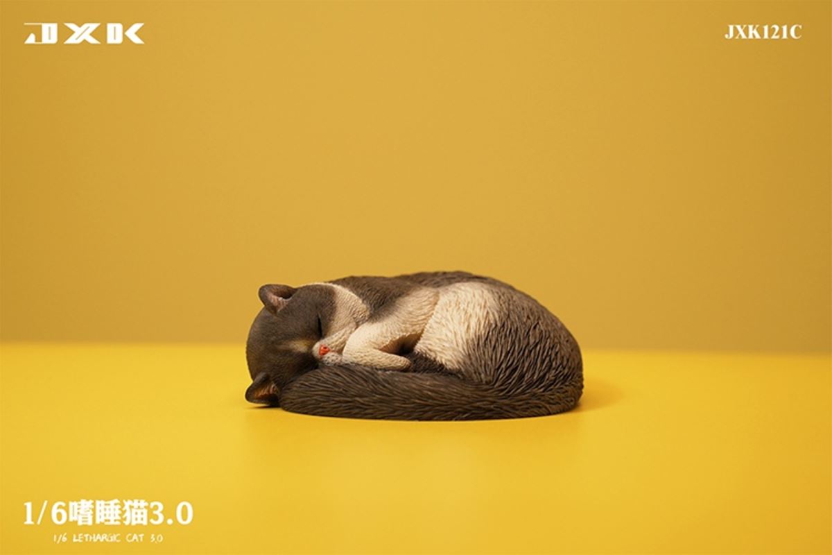 Sleepy Cat 3.0 1/6