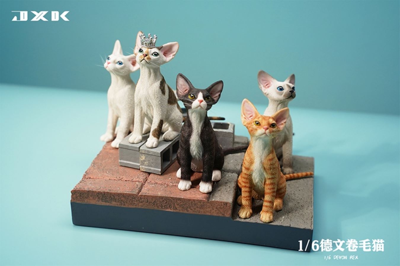 German curly cat JXK123 1/6