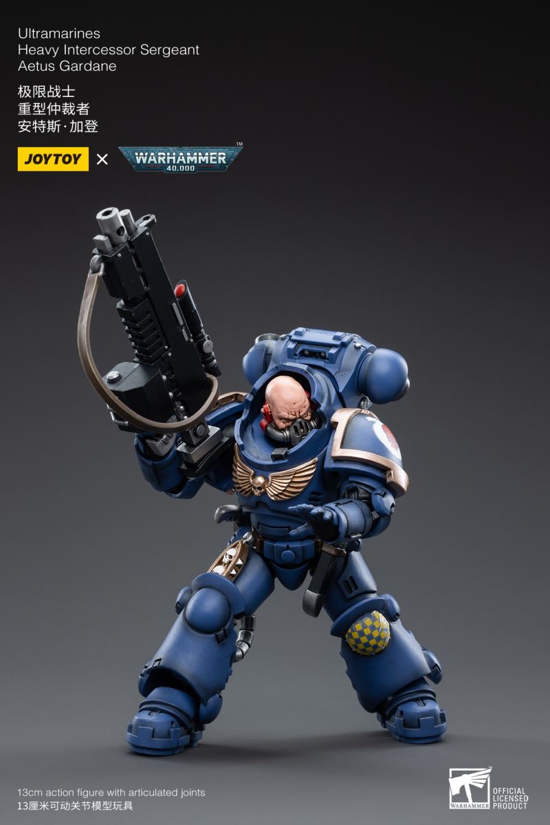 Ultramarines Heavy Intercessor 1/18