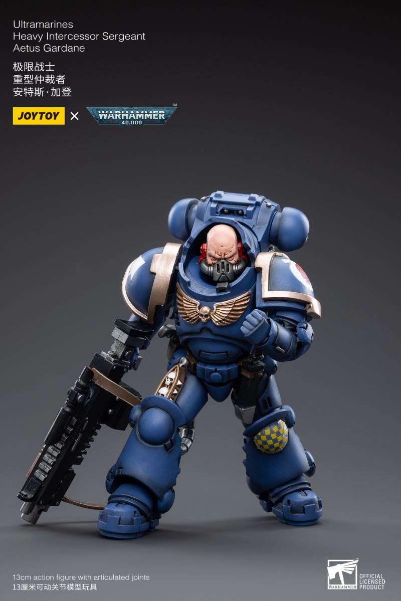 Ultramarines Heavy Intercessor 1/18