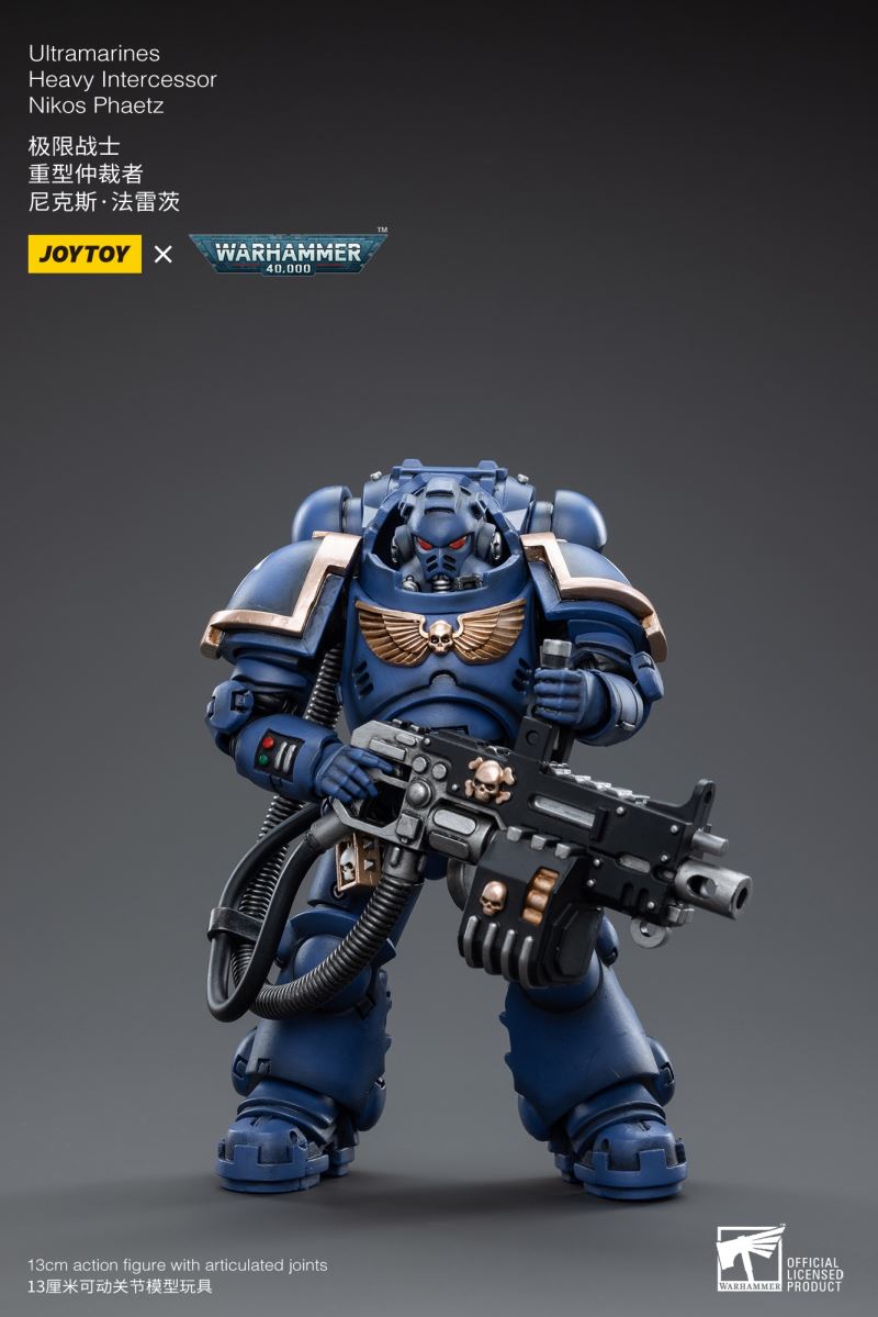 Ultramarines Heavy Intercessor 1/18