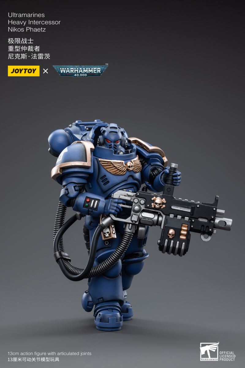 Ultramarines Heavy Intercessor 1/18