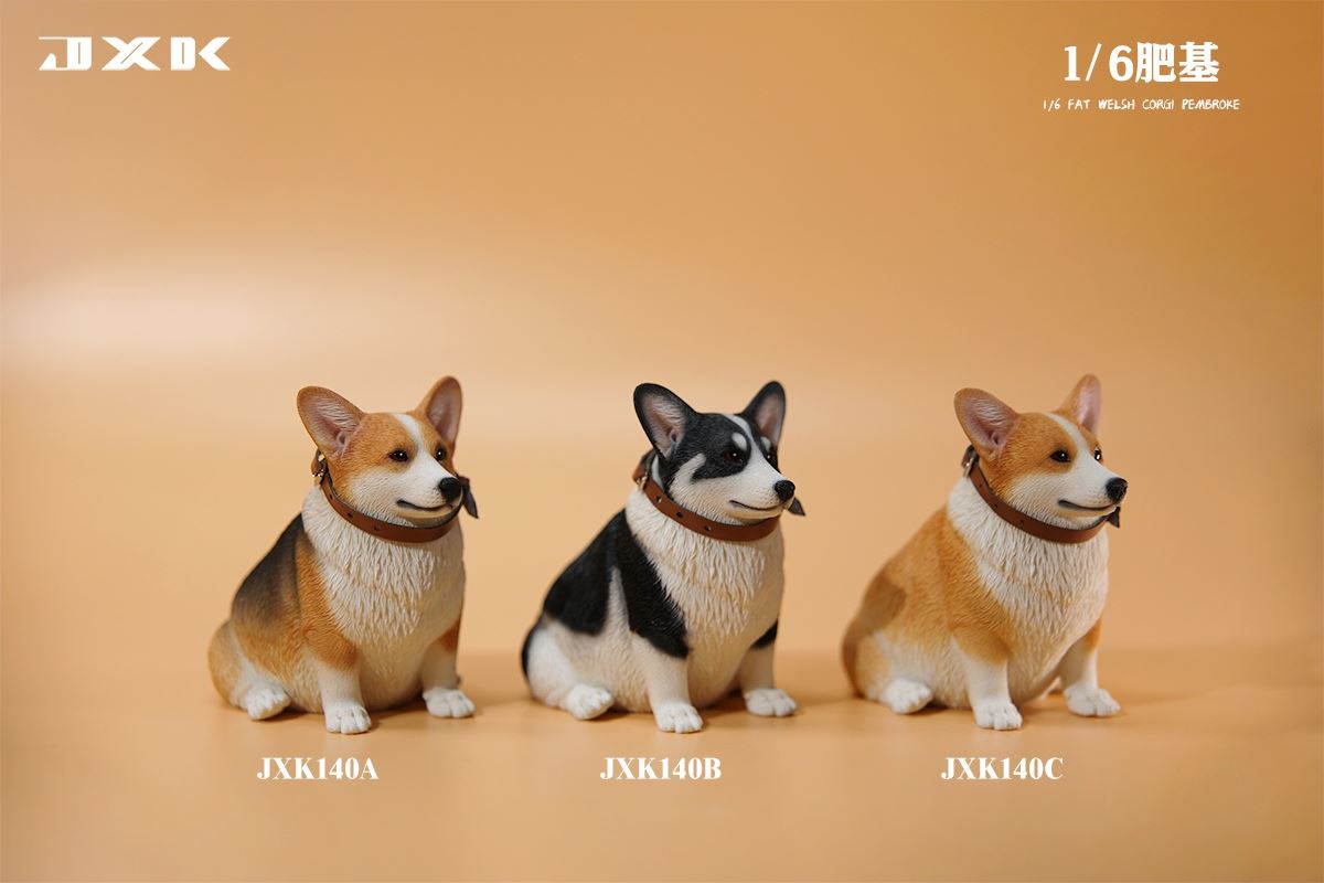 Fat Welsh Corgi Pembroke 1/6