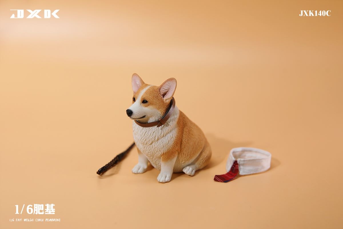 Fat Welsh Corgi Pembroke 1/6