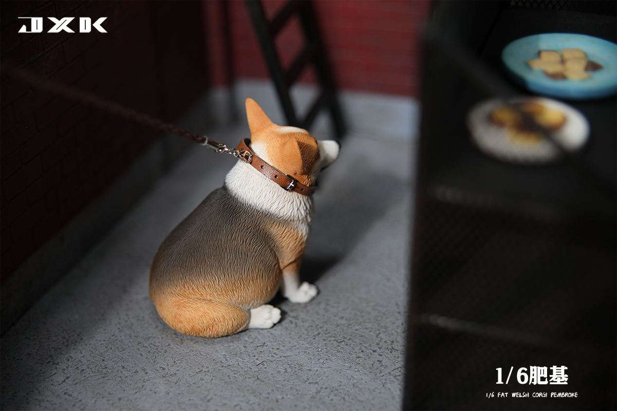 Fat Welsh Corgi Pembroke 1/6