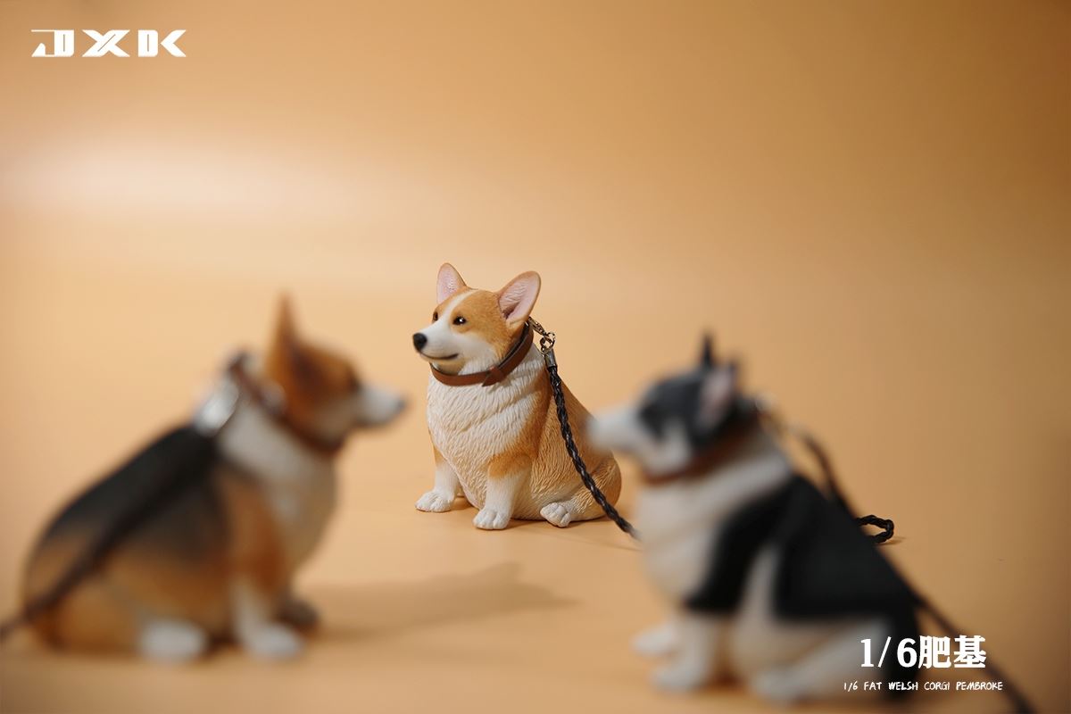 Fat Welsh Corgi Pembroke 1/6