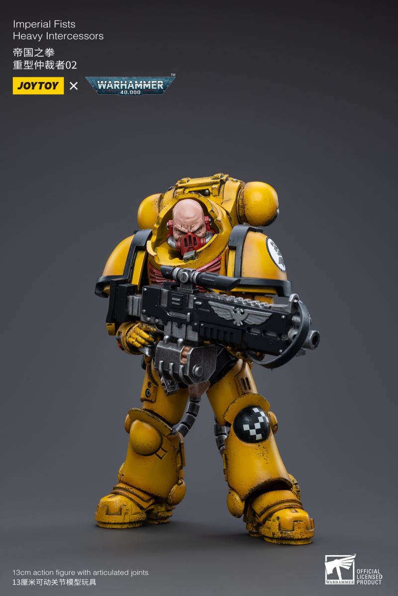 Imperial Fists 1/18