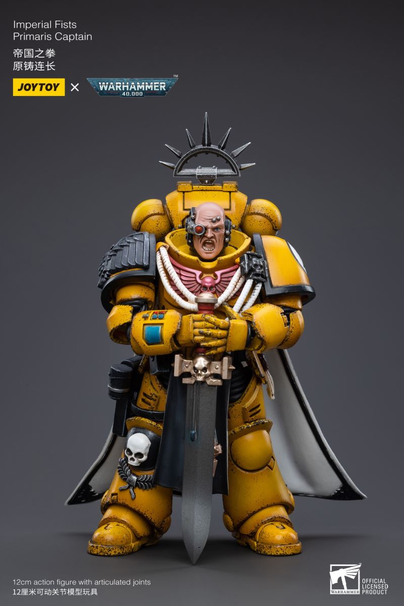 Imperial Fists 1/18
