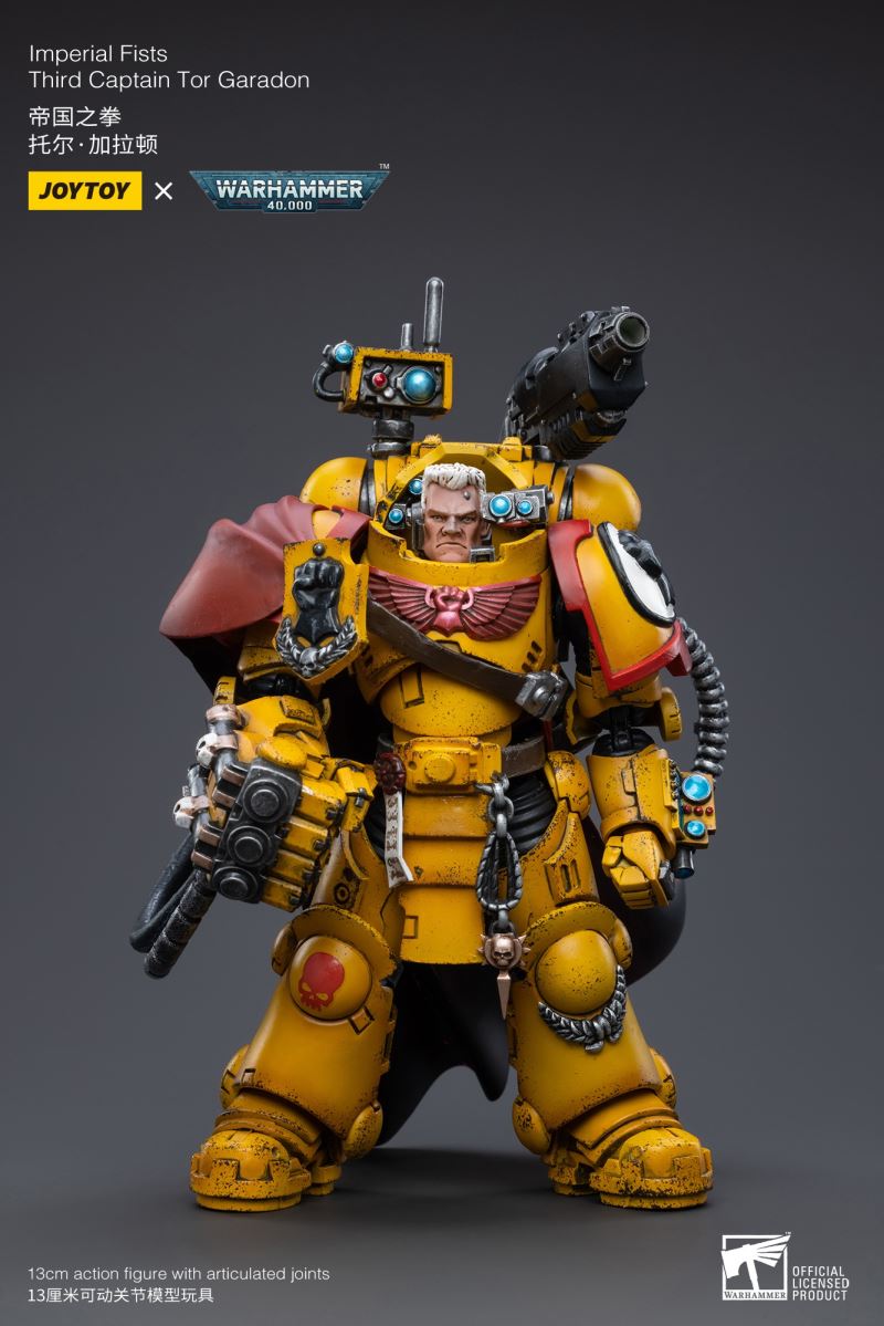 Imperial Fists 1/18