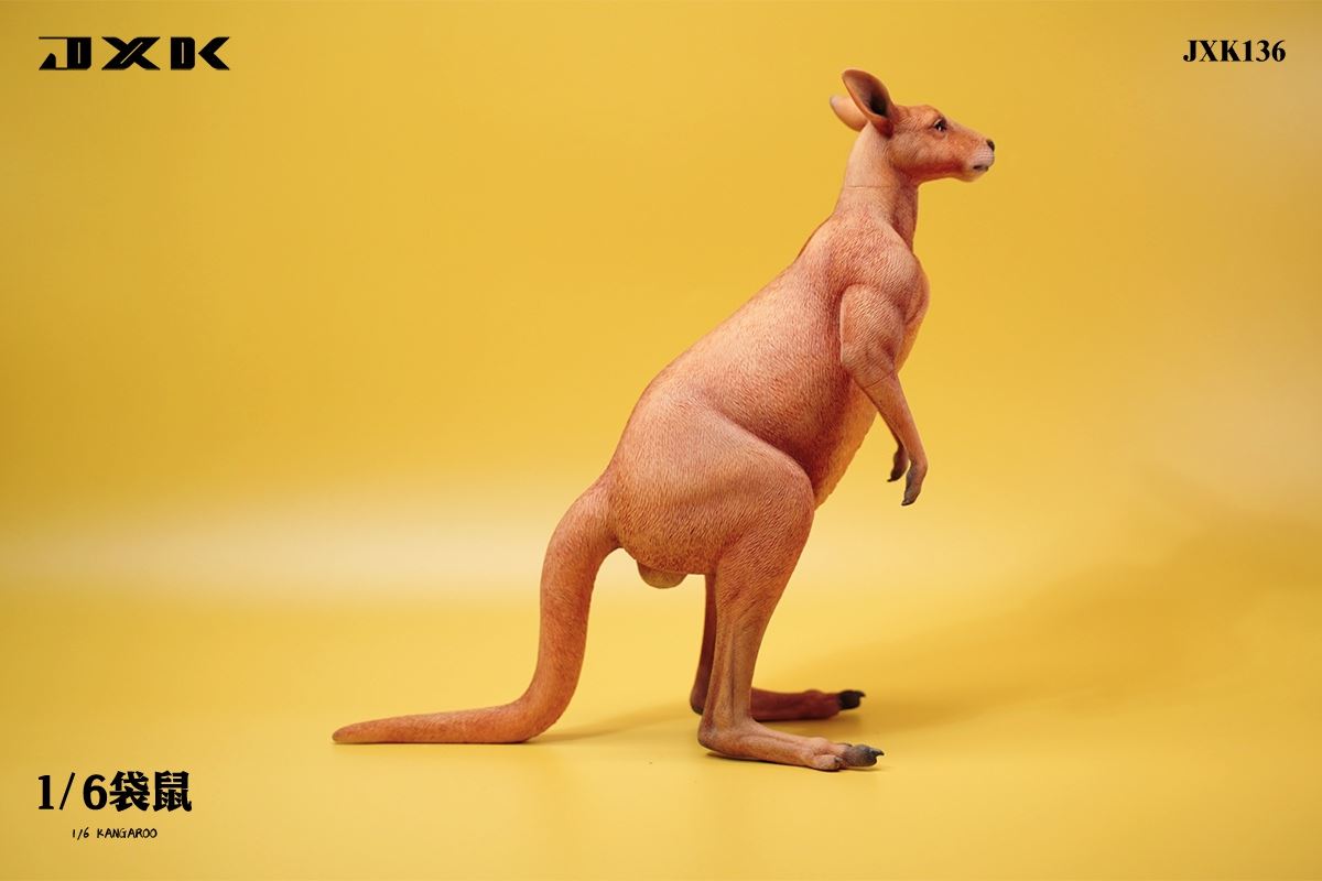 Kangaroo 1/6