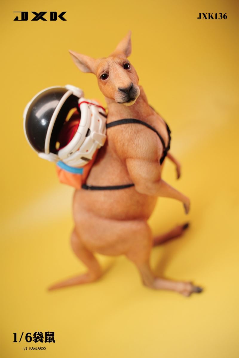 Kangaroo 1/6