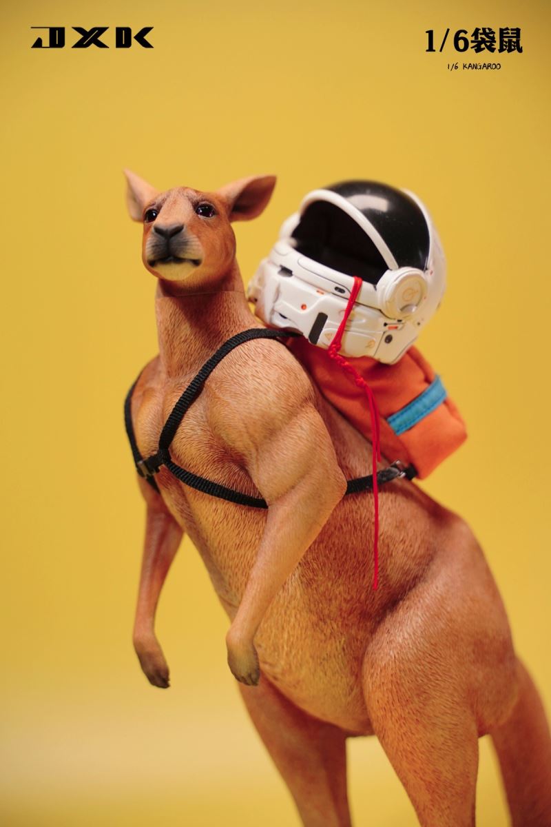 Kangaroo 1/6