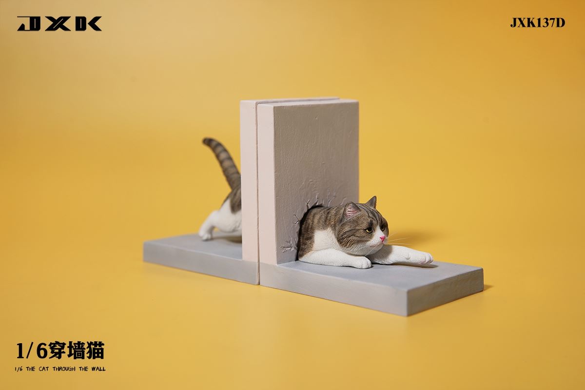 Wall Cat 1/6