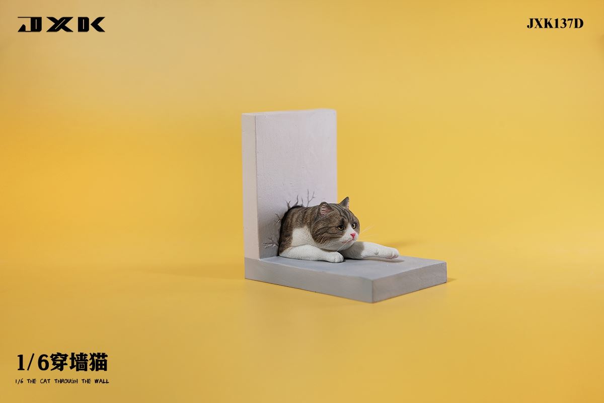 Wall Cat 1/6